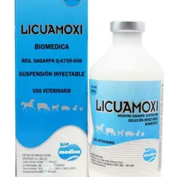 Licuamoxi 100ml