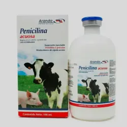 Penicilina Acuosa 100ml