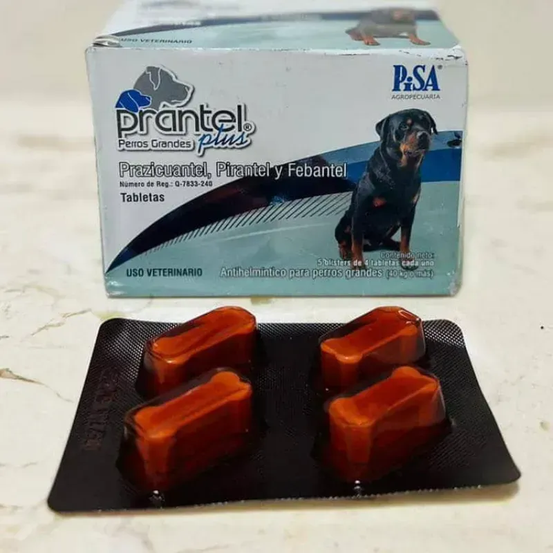 Prantel Plus Perros Grandes
