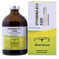 Vitamina B12 5500 100ml