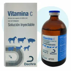 Vitamina C 100ml