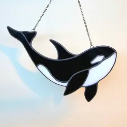 Ballena Orca 🐳