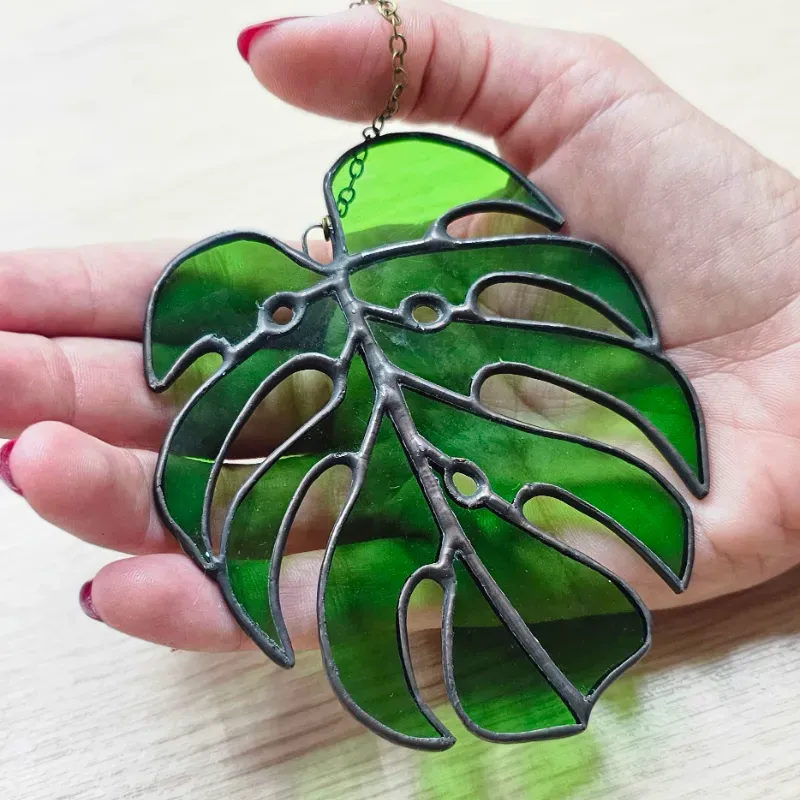 Hoja de Monstera pequeña 🍃