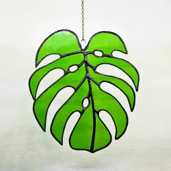 Monstera pequeña