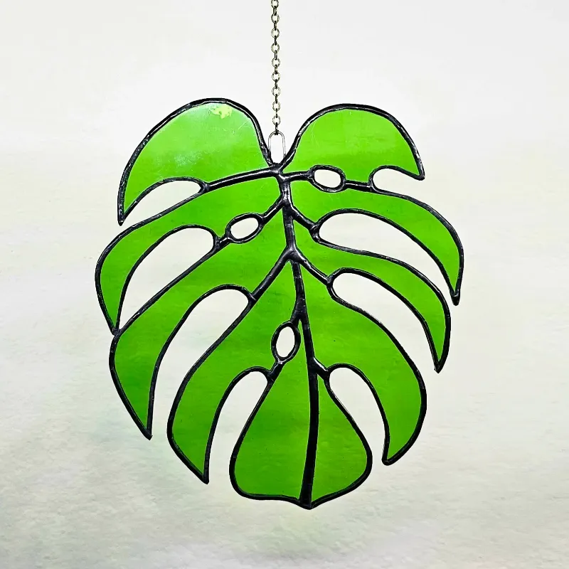 Monstera pequeña