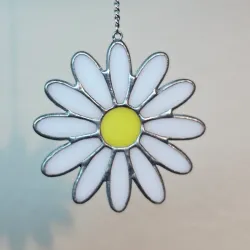 Margarita 🌼 pequeña