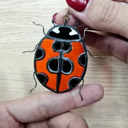 Mariquita 🐞 