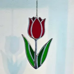 Tulipán pequeño 🌷
