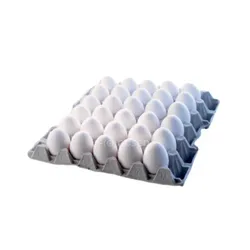 Huevos