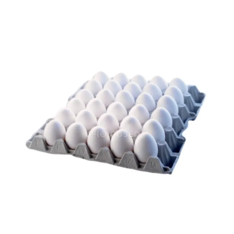 Huevos