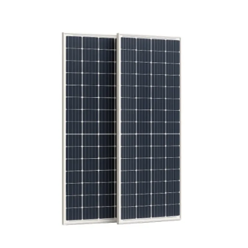 Panel Solar Bifacial