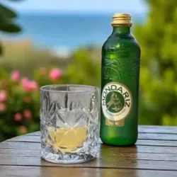 Agua Mondariz Gaseada 330ml