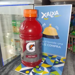Gatorade Fruit Punch 355ml