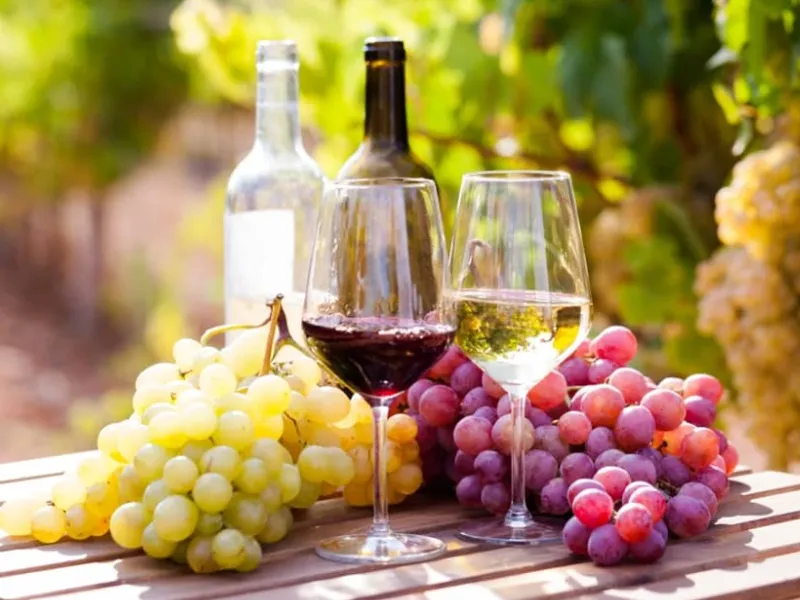 Vinos