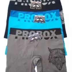 Boxer de hombre