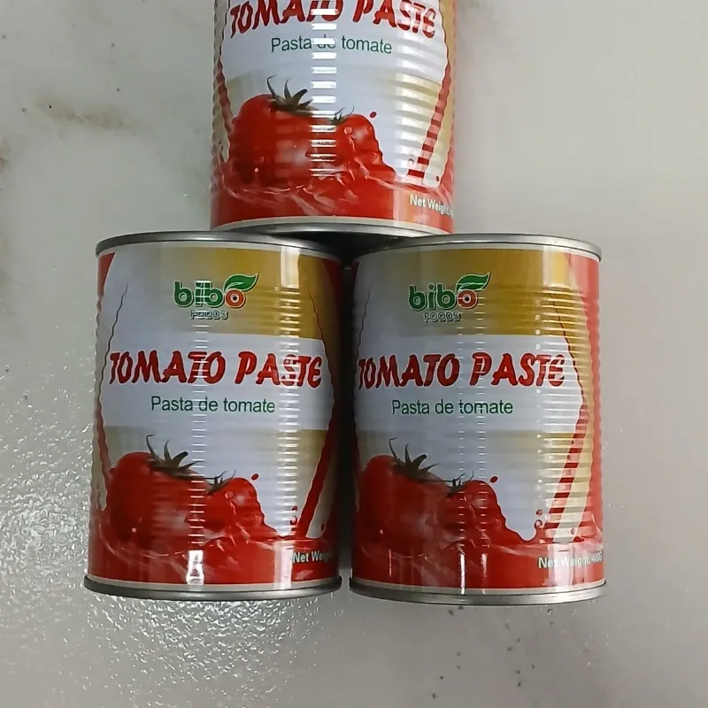 Lata de pasta de tomate 