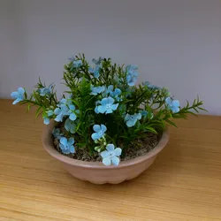 Planta con Flores Mediana