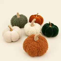 Set 6 calabazas