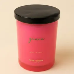 Vela Guava Bold Exotic