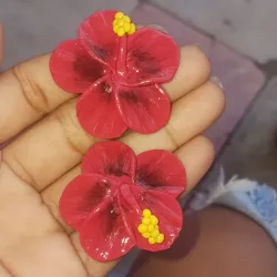 Hibiscus rojo