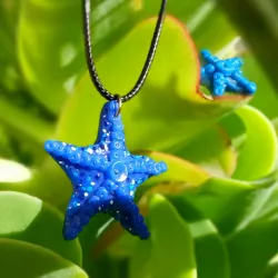 Juego de estrellas de mar