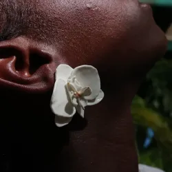 Maxi orquídea blanca