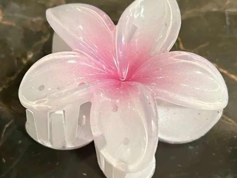 Accesorios cabello