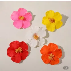 Accesorios del cabello